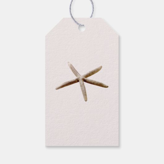 クリーム赤面海ヒトデ ギフトタグ (裏面)