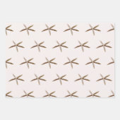 クリーム赤面海ヒトデ ラッピングペーパーシート (正面2)