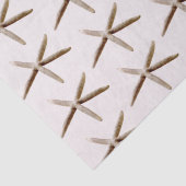 クリーム赤面海ヒトデ 薄葉紙 (詳細)