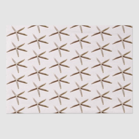 クリーム赤面海ヒトデ 薄葉紙 (正面)