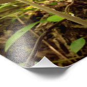 クリーム陛下 フォトプリント            (角)