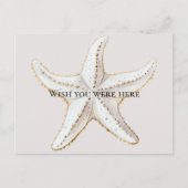 クリーム ホワイト ゴールド スターフィッシュ ビーチ ポストカード (正面)