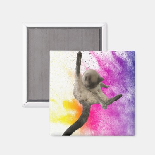 クリーンアップ マグネット (正面/裏面)