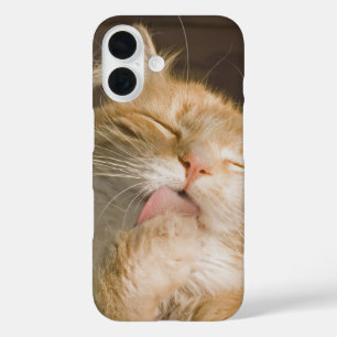 クリーンアップ メーヌクーンキャットクローズアップ写真 iPhone 16ケース