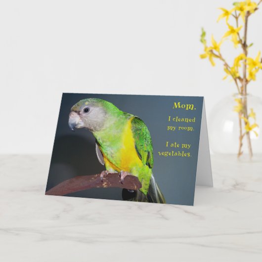 クリーンルーム カード (黄色い花)