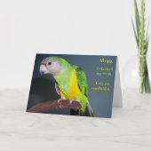 クリーンルーム カード (正面)