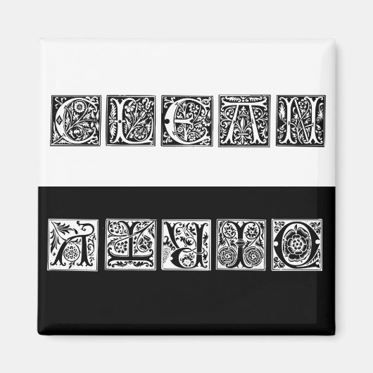 クリーン&ダーティルネサンス食洗機マグネット マグネット (正面)