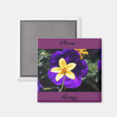 クリーン、汚い マグネット (正面/裏面)