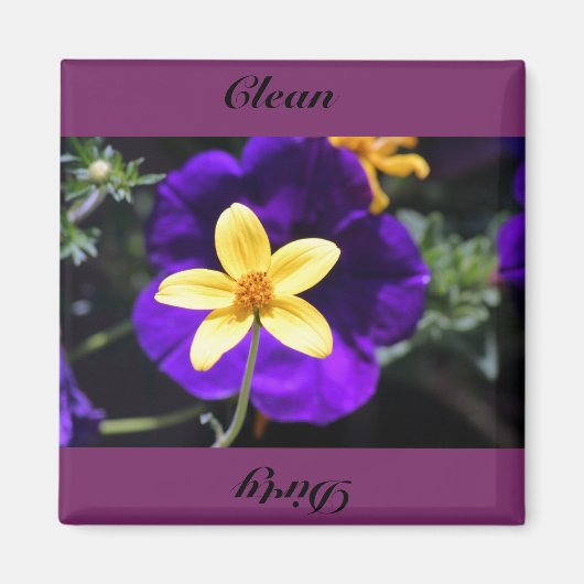 クリーン、汚い マグネット (正面)