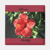 クリーン、汚い マグネット (正面)