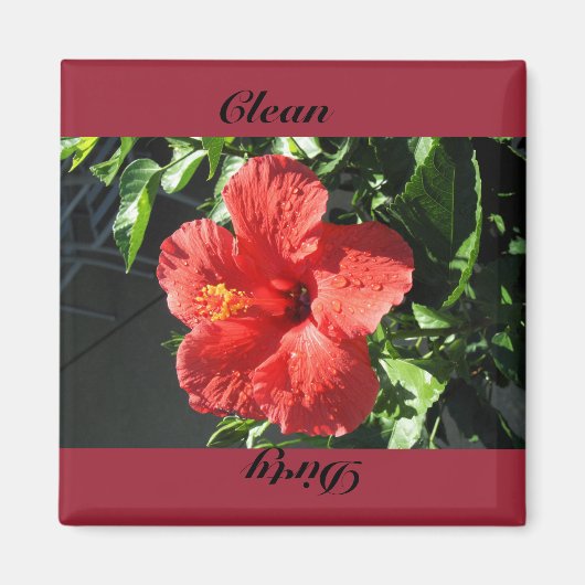 クリーン、汚い マグネット (正面)