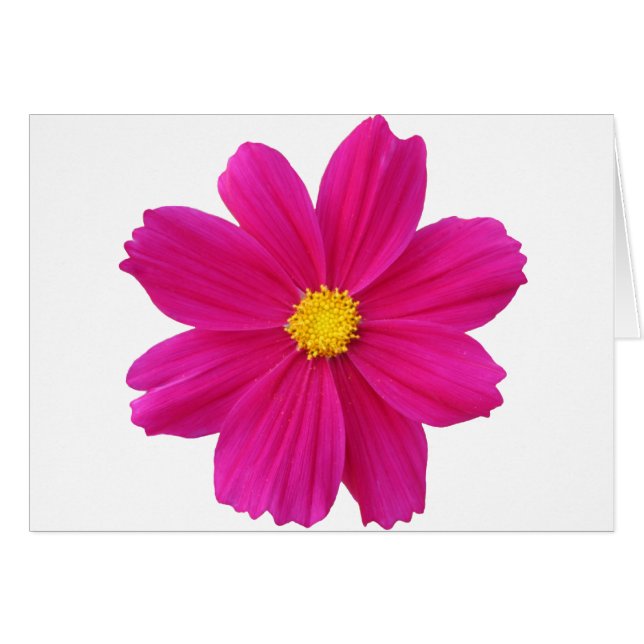 クリーン.png (正面横)