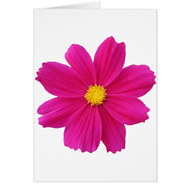 クリーン.png (正面)