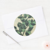 クリー葉ムの背景のとブランチ ラウンドシール (封筒)