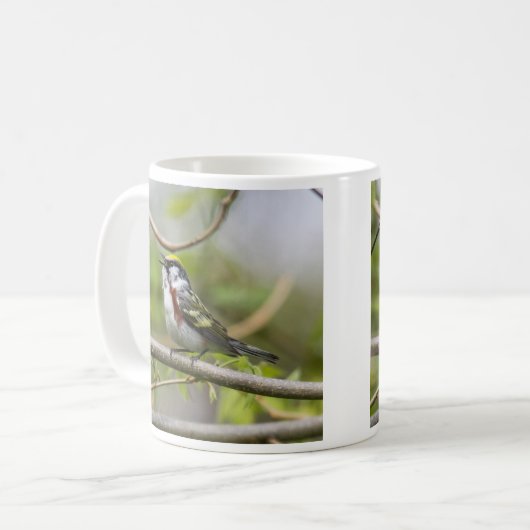 クリ味方されたアメリカムシクイ コーヒーマグカップ (正面左)