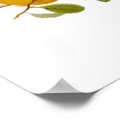 クリ日本のンス ポスター (角)