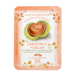 クリ秋ベビー妊娠の発表 マグネット