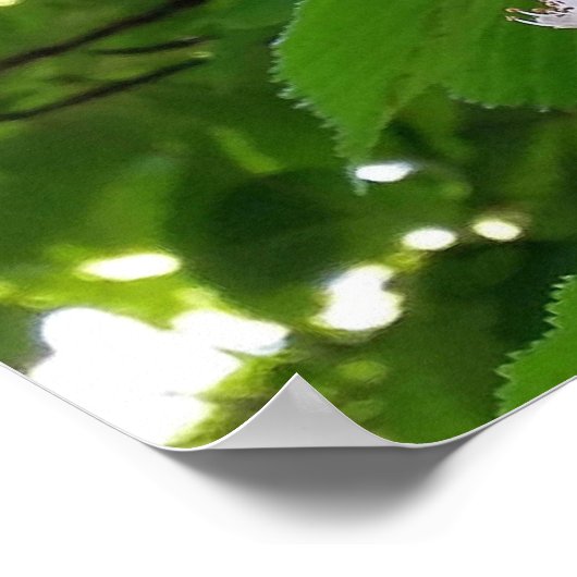 クリ花 ポスター (角)