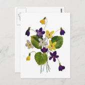 クルエル刺繍で仕上げた野生のすみれの花 ポストカード (正面/裏面)