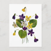クルエル刺繍で仕上げた野生のすみれの花 ポストカード (正面)