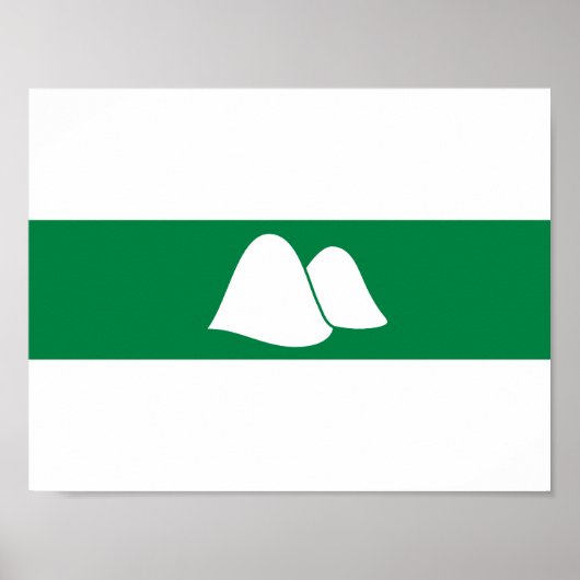 クルガン州旗 ポスター (正面)