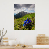 クルシウスのゲンチアンの花と山 ポスター (キッチン)