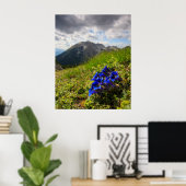 クルシウスのゲンチアンの花と山 ポスター (ホームオフィス)