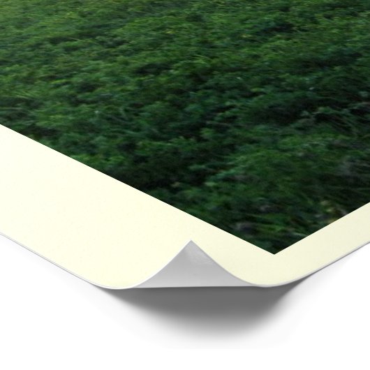 クルゼメススカティ ポスター (角)