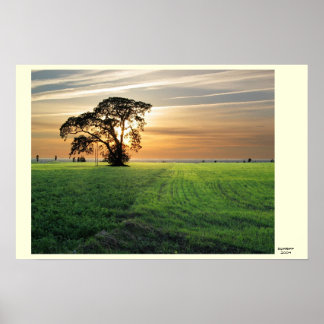 クルゼメススカティ ポスター