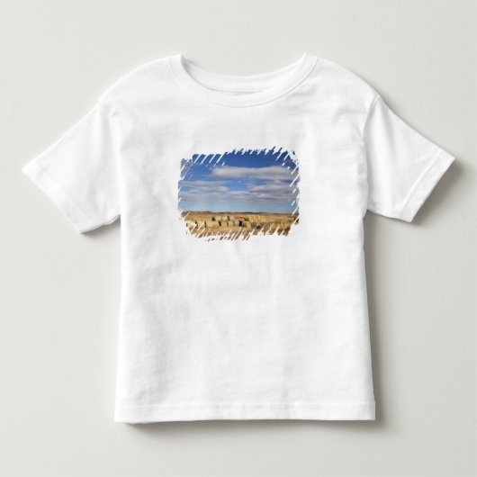 クルック郡、干し草の俵 トドラーTシャツ (正面)