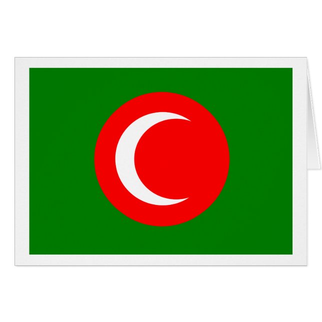 クルディスタン国旗（1922年～1924年、1925年） (正面横)