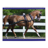 クルミの丘からの写真が付いている2017カレンダー カレンダー (カバー)