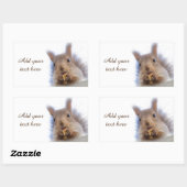 クルミを持つリス 長方形シール (シート)