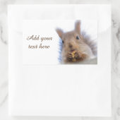 クルミを持つリス 長方形シール (バッグ)