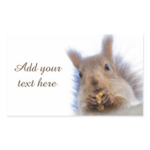 クルミを持つリス