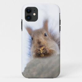 クルミを持つリス iPhone 11 ケース