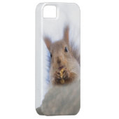 クルミを持つリス Case-Mate iPhoneケース (裏面/右)