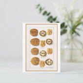 クルミヴィンテージ植物性イラストレーション水彩 ポストカード (スタンド正面)