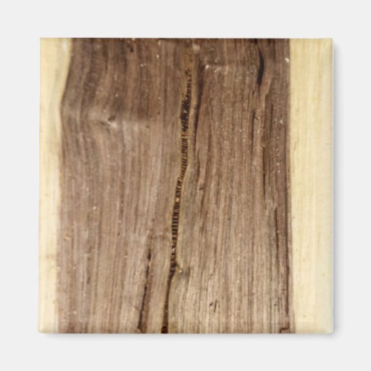 クルミ磁石 マグネット (正面)