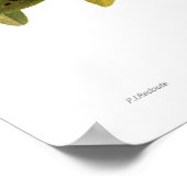 クルミ語(ジュグラス地方) ポスター (角)