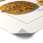 クルミ（ジュグラス）フルーツウォーター絵画カラーのポスター ポスター (角)