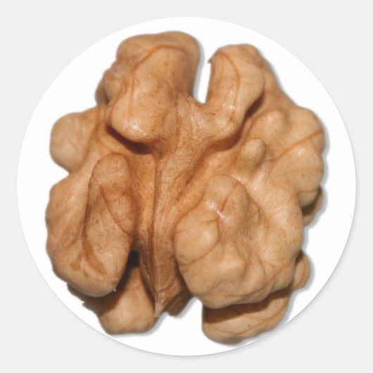 クルミ ラウンドシール (正面)