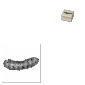 クルンチーコシェールサワーディルピックルピクルスグルメ ラバースタンプ (押印)