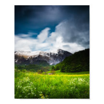 クルン山の下の春の花畑