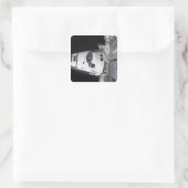 クルーの客室の高い角度のビュー スクエアシール (バッグ)