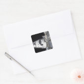 クルーの客室の高い角度のビュー スクエアシール (封筒)