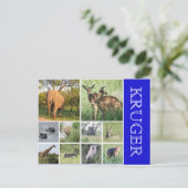 クルーガーサファリ ポストカード (スタンド正面)