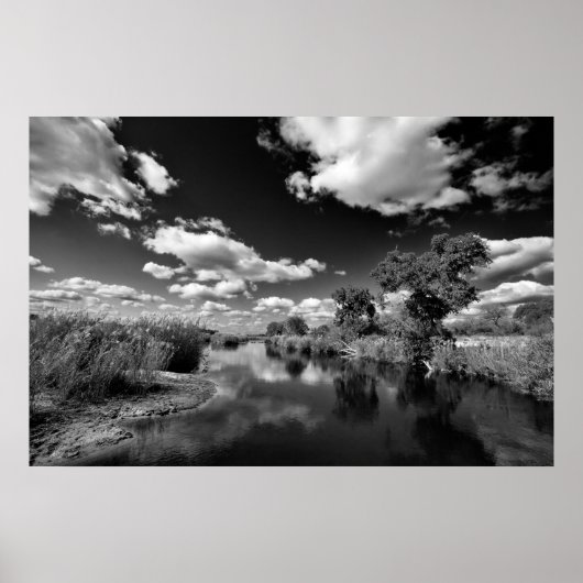 クルーガー休止 ポスター (正面)