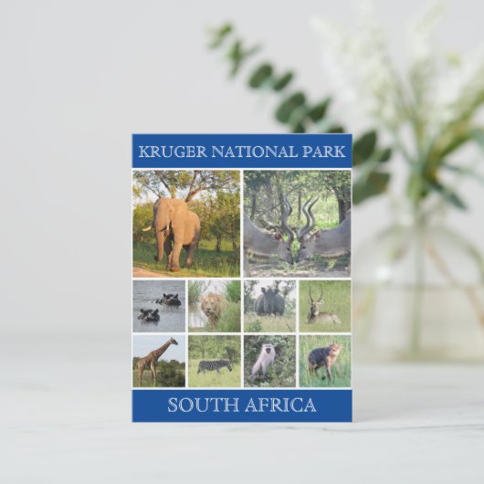 クルーガー国立公園の野生動物 ポストカード (スタンド正面)