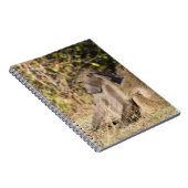 クルーガー国立公園（南アフリカ） ノートブック (右側)